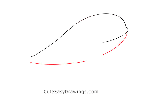 how to draw a beluga whale - www.cuteeasydrawings.com