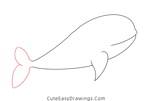 how to draw a beluga whale - www.cuteeasydrawings.com