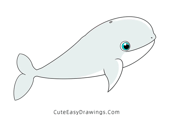 how to draw a beluga whale - www.cuteeasydrawings.com