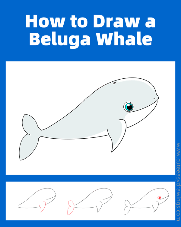 how to draw a beluga whale - www.cuteeasydrawings.com