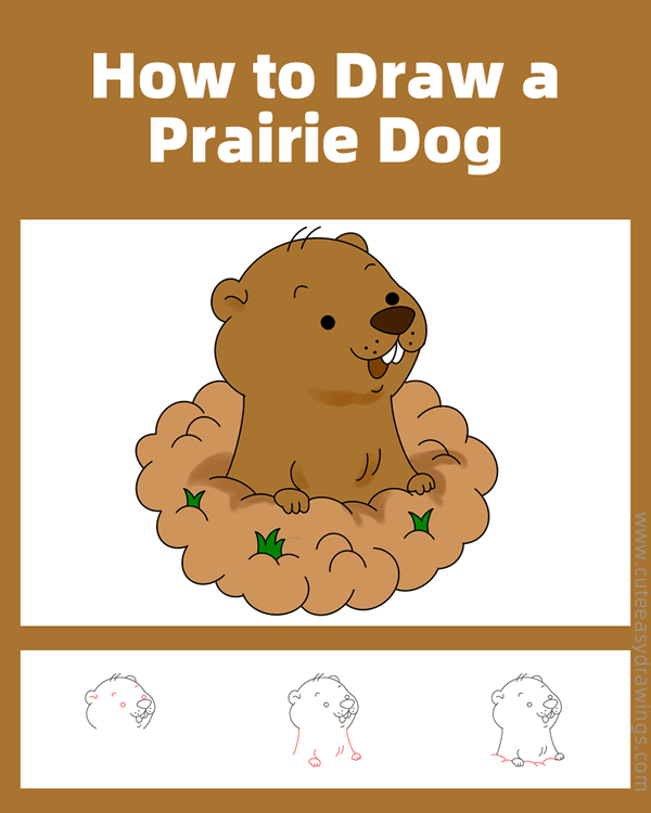 how to draw a prairie dog - www.cuteeasydrawings.com