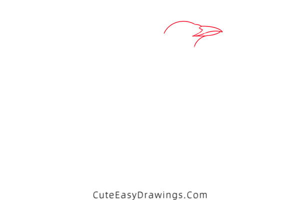 how to draw a magpie - www.cuteeasydrawings.com