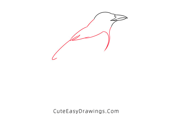 how to draw a magpie - www.cuteeasydrawings.com