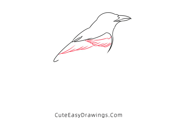 how to draw a magpie - www.cuteeasydrawings.com