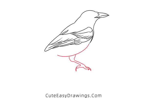 how to draw a magpie - www.cuteeasydrawings.com