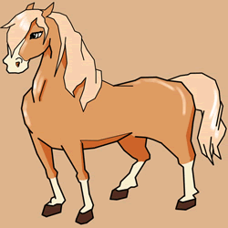 How to Draw a Horse Easy Step by Step