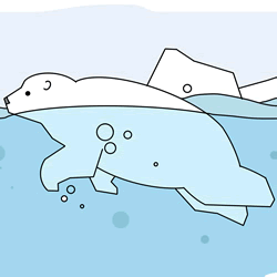 How to Draw a Swimming Polar Bear Step by Step