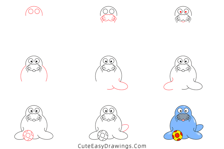 how to draw a sea lion with a ball - www.cuteeasydrawings.com