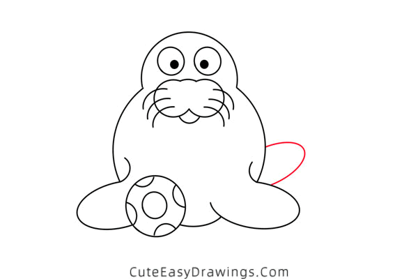 how to draw a sea lion with a ball - www.cuteeasydrawings.com