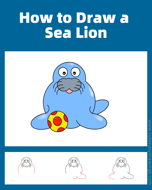 how to draw a sea lion with a ball - www.cuteeasydrawings.com