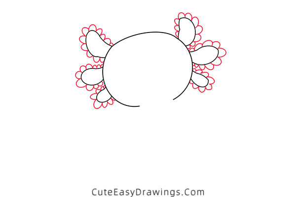 how to draw a salamander - www.cuteeasydrawings.com