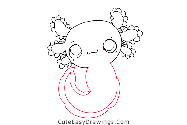 how to draw a salamander - www.cuteeasydrawings.com