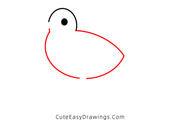 how to draw a seagull - www.cuteeasydrawings.com