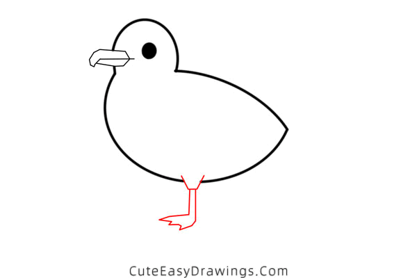 how to draw a seagull - www.cuteeasydrawings.com