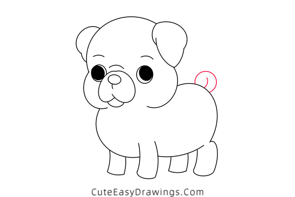 how to draw a pug - www.cuteeasydrawings.com