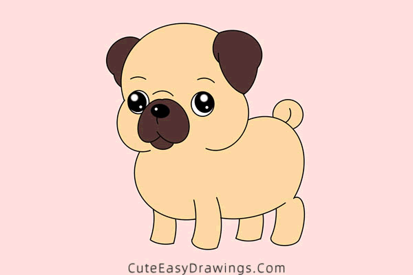 how to draw a pug - www.cuteeasydrawings.com