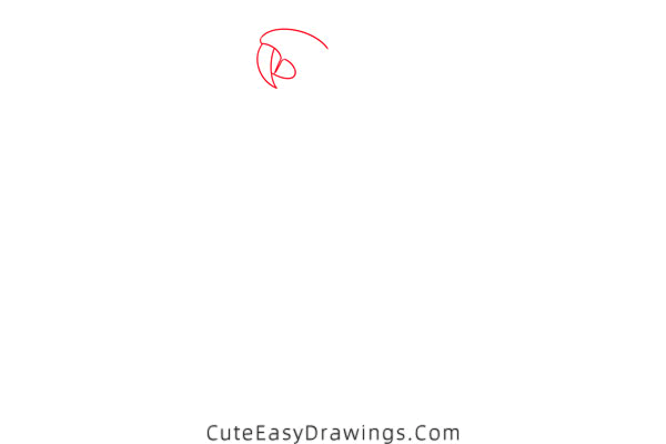 how to draw a macaw - www.cuteeasydrawings.com