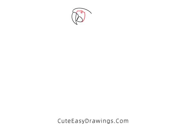 how to draw a macaw - www.cuteeasydrawings.com