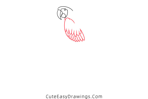 how to draw a macaw - www.cuteeasydrawings.com