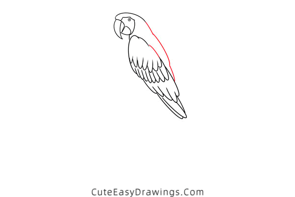 how to draw a macaw - www.cuteeasydrawings.com