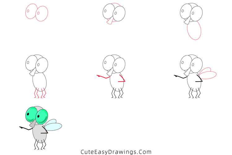 how to draw a fly - www.cuteeasydrawings.com