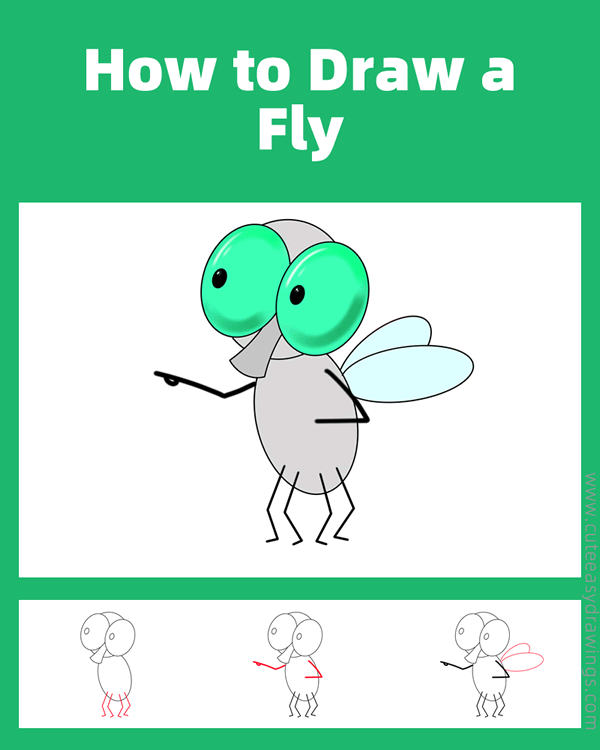 how to draw a fly - www.cuteeasydrawings.com