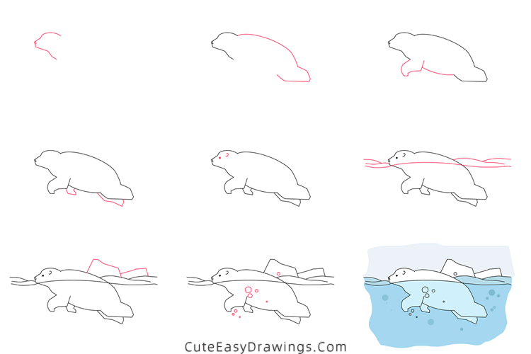 how to draw a swimming polar bear - www.cuteeasydrawings.com