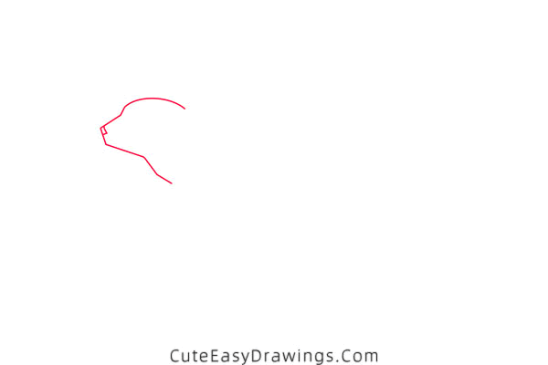 how to draw a swimming polar bear - www.cuteeasydrawings.com