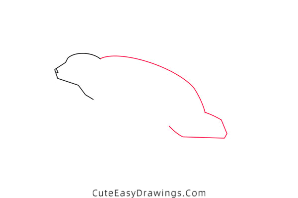 how to draw a swimming polar bear - www.cuteeasydrawings.com