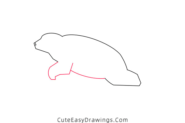 how to draw a swimming polar bear - www.cuteeasydrawings.com