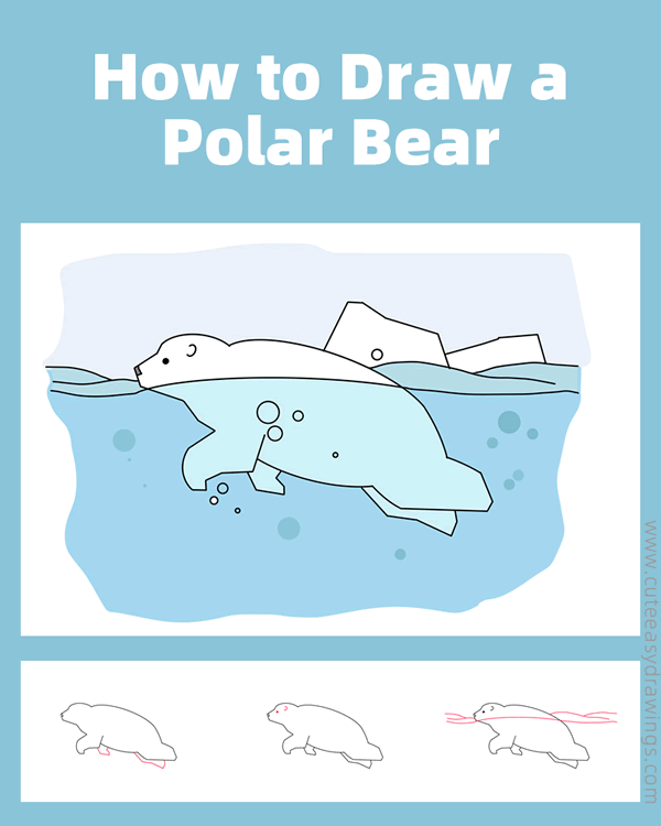 how to draw a swimming polar bear - www.cuteeasydrawings.com