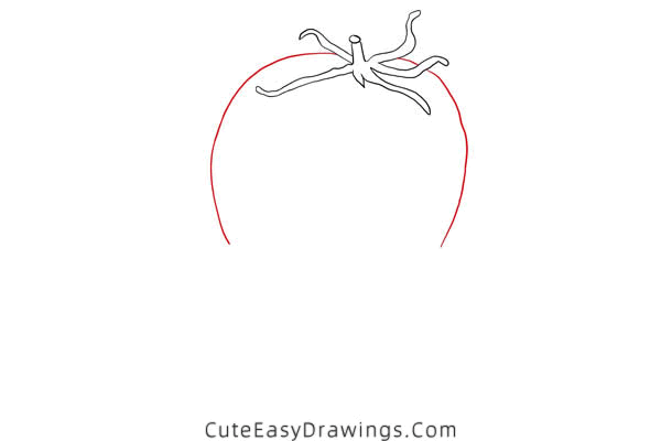 how to draw a tomato - www.cuteeasydrawings.com