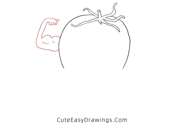 how to draw a tomato - www.cuteeasydrawings.com