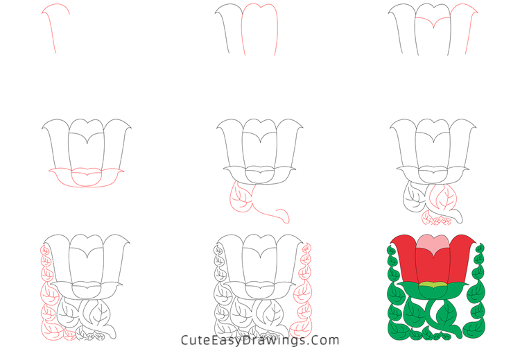 how to draw a tulip - www.cuteeasydrawings.com