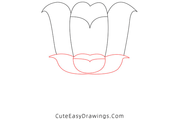 how to draw a tulip - www.cuteeasydrawings.com