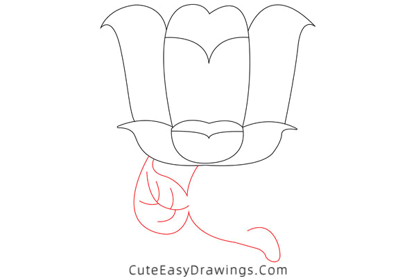 how to draw a tulip - www.cuteeasydrawings.com