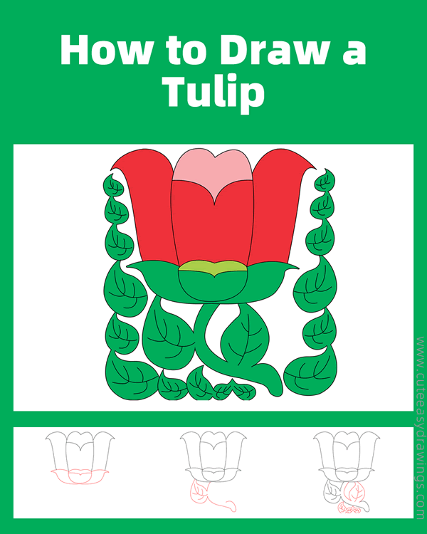 how to draw a tulip - www.cuteeasydrawings.com