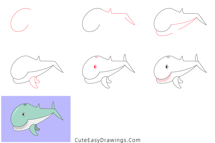 how to draw a sperm whale - www.cuteeasydrawings.com