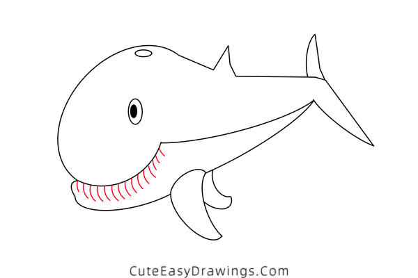 how to draw a sperm whale - www.cuteeasydrawings.com