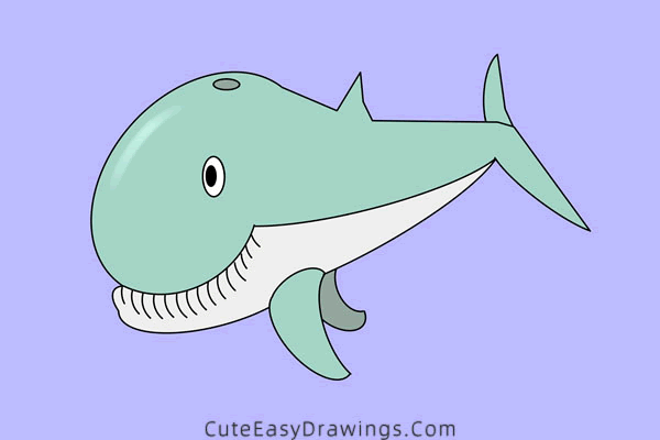 how to draw a sperm whale - www.cuteeasydrawings.com