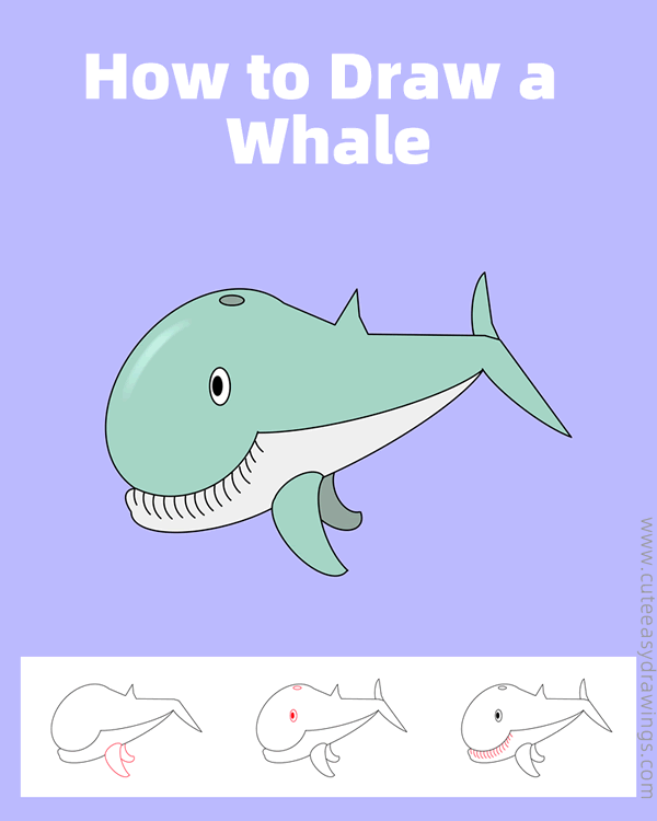 how to draw a sperm whale - www.cuteeasydrawings.com