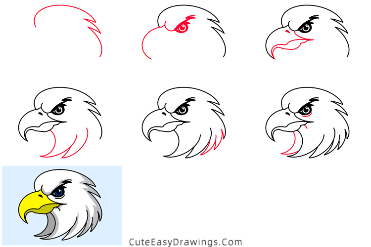 how to draw an eagle head - www.cuteeasydrawings.com