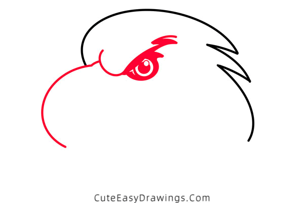 how to draw an eagle head - www.cuteeasydrawings.com