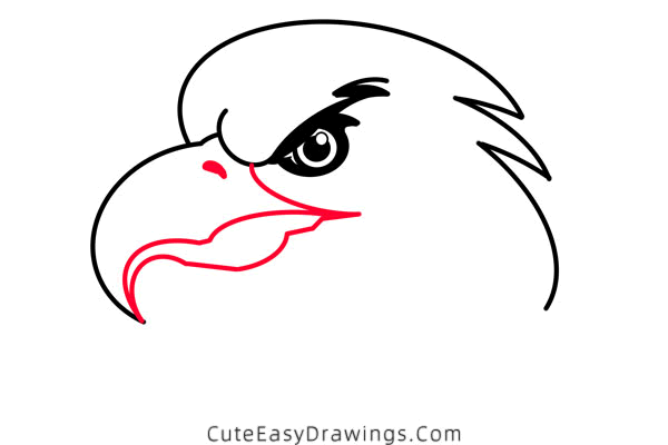 how to draw an eagle head - www.cuteeasydrawings.com