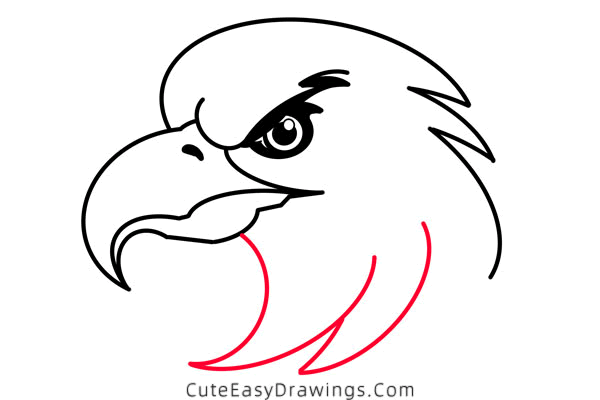 how to draw an eagle head - www.cuteeasydrawings.com