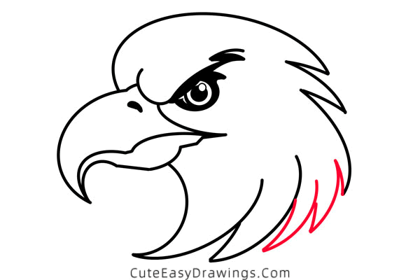 how to draw an eagle head - www.cuteeasydrawings.com