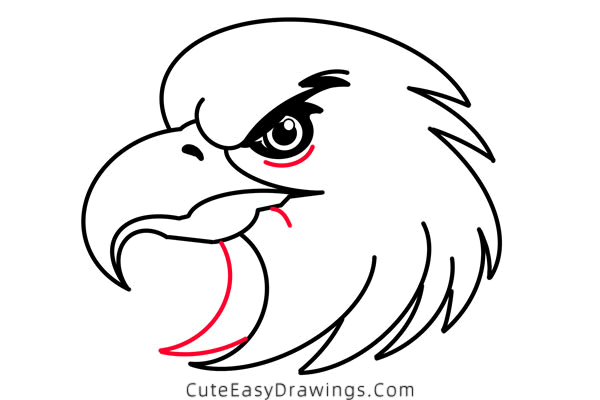 how to draw an eagle head - www.cuteeasydrawings.com