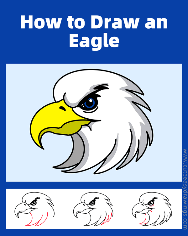 how to draw an eagle head - www.cuteeasydrawings.com