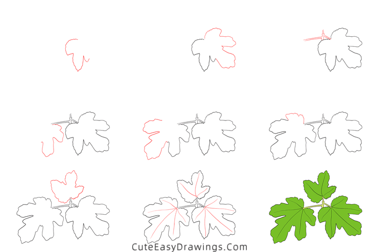 how to draw a fig leaf - www.cuteeasydrawings.com