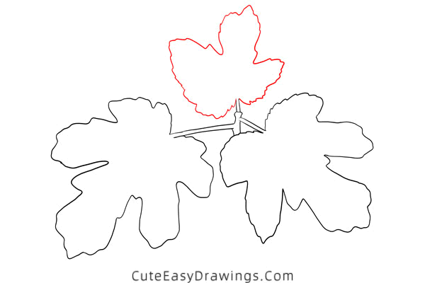 how to draw a fig leaf - www.cuteeasydrawings.com